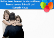 Hidden Harm - Certified by CPD