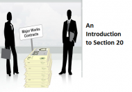 An Introduction to Section 20