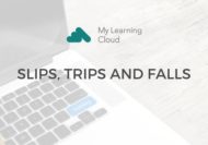 Slips, Trips and Falls - CPD Certified