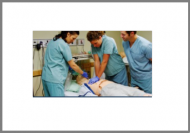 Adult and Paediatric Basic Life Support