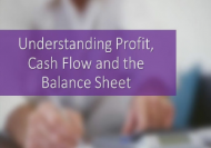 Understanding Profit, Cash Flow and the Balance Sheet